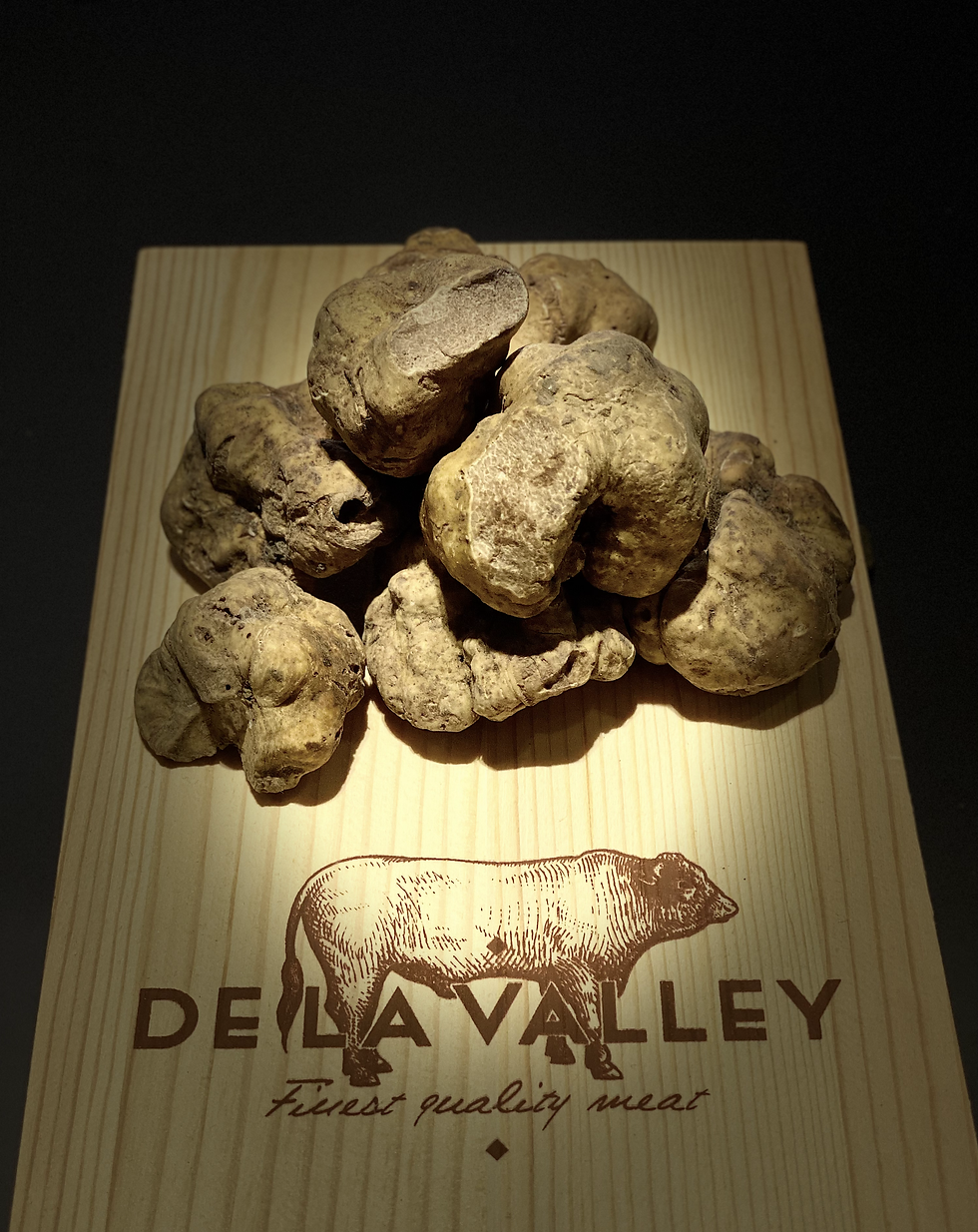 White Truffles Piedmont Alba