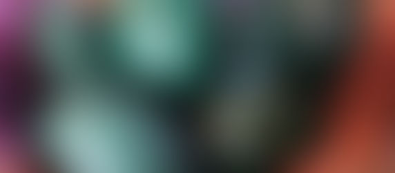 Emu eggs for 2025 - 2026