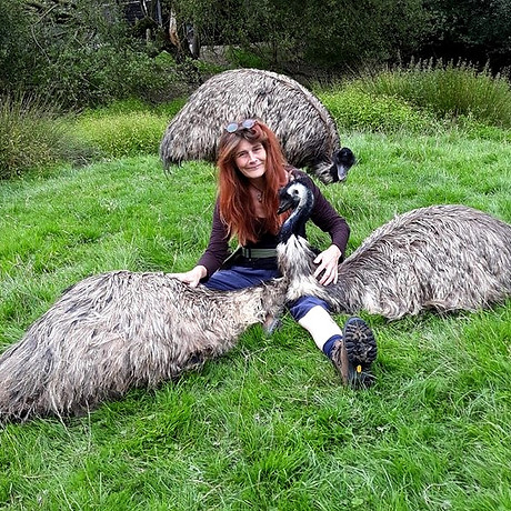 Screenshot 2024-11-28 220814_edited.jpg