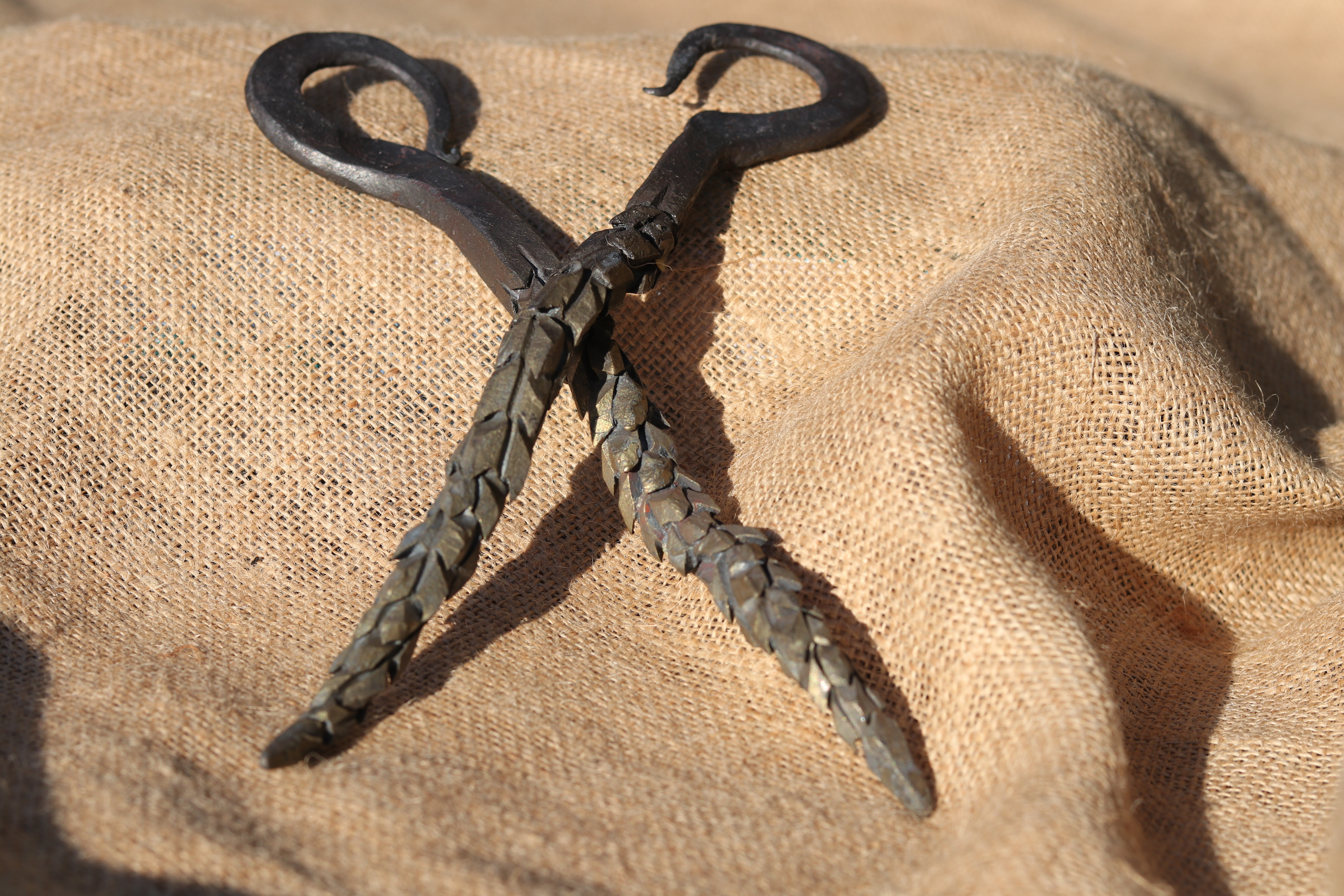 Dragons Tail Bottle Opener