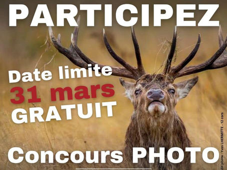 Festiphoto de Rambouillet 2023, participation concours et expositions