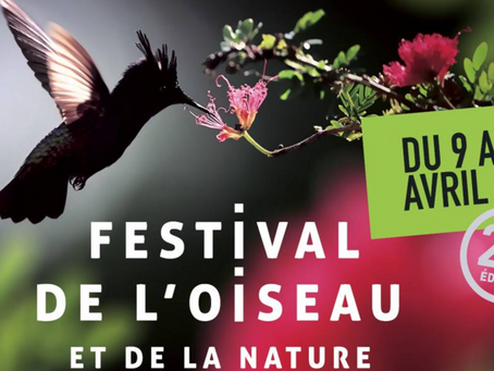 Festival de l'Oiseau et de la Nature 2016 en Baie de Somme.