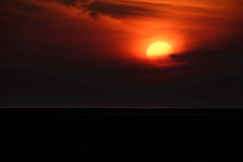 DSC_9589-1.jpg