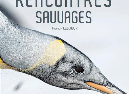 Les sites de mes amis, Franck LESUEUR