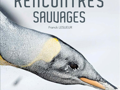 Les sites de mes amis, Franck LESUEUR
