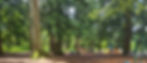 zayjfXvZ_edited_edited.jpg