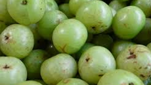 天天靚湯,預防勝於治療——油甘子湯