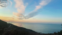 觀海