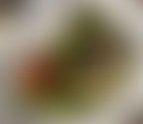 Alba - Finest Dining Down Under