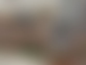 Two dogs in an outdoor kennel at a partner animal shelter in the southern United States.