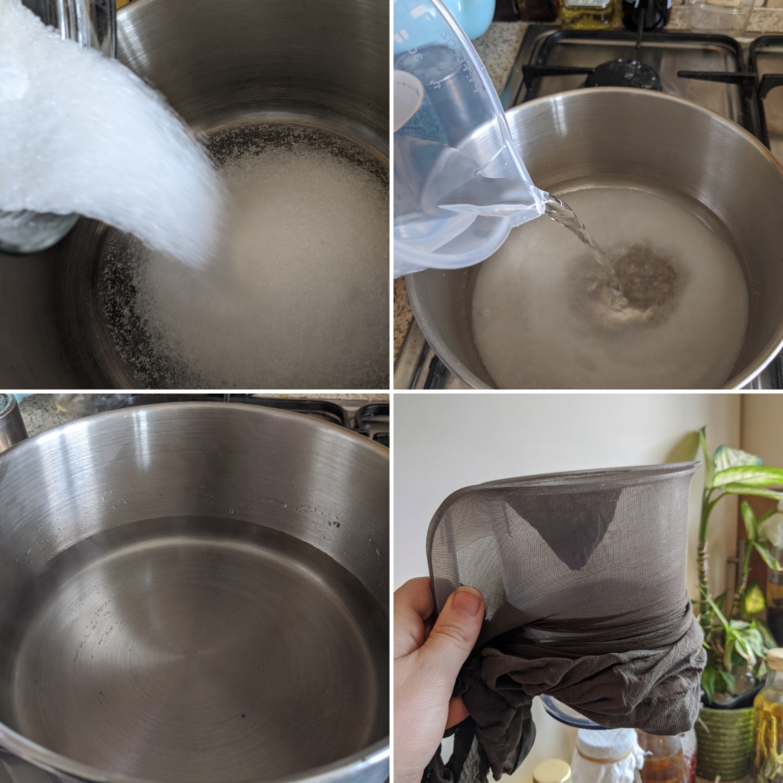 Magnolia Syrup Recipe