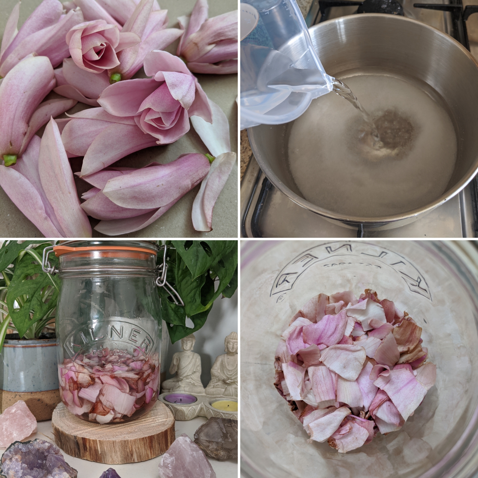 Magnolia Syrup Recipe