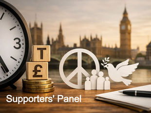 Supporters’ Panel: shaping what comes next for taxes for peace