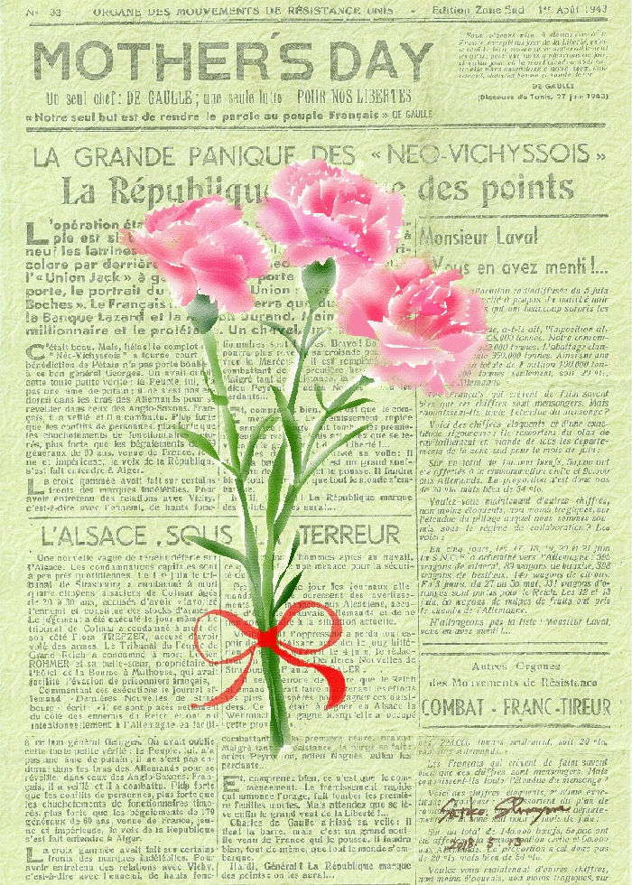 カーネーションｻｲﾝ入り