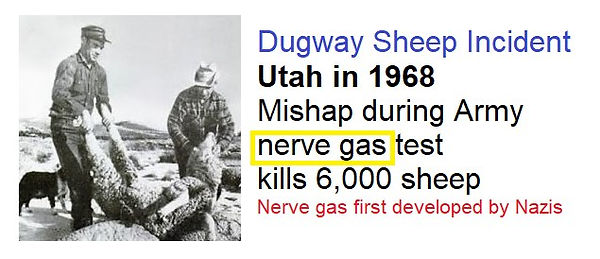 69644468_10219150708385763_9203977927346