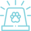 siren_edited.png