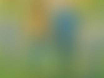 A young couple strolls hand in hand through a vibrant meadow, surrounded by blooming with blue bells and snow drops and lush colourful trees