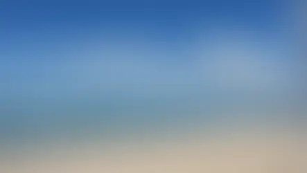 Embracing Beach Therapy: Finding Peace in Golden Sands and Blue Seas