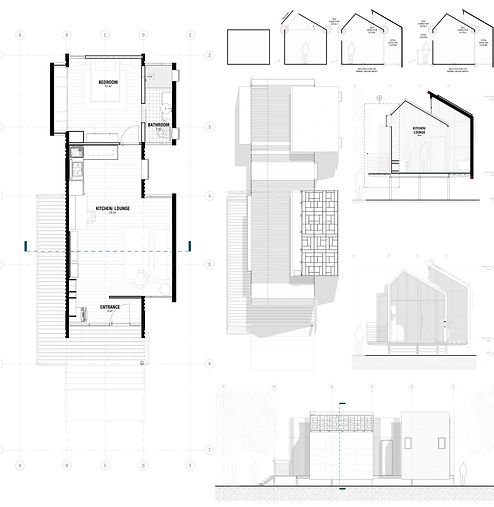 Concept Diagrams and Architectural drawings