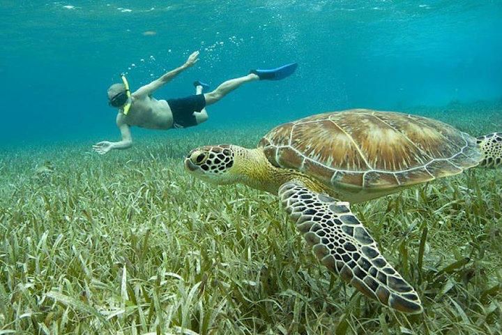 Snorkeling tour adventure San Pedro