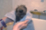 eric towel.JPG