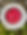 IMG_8845.jpeg