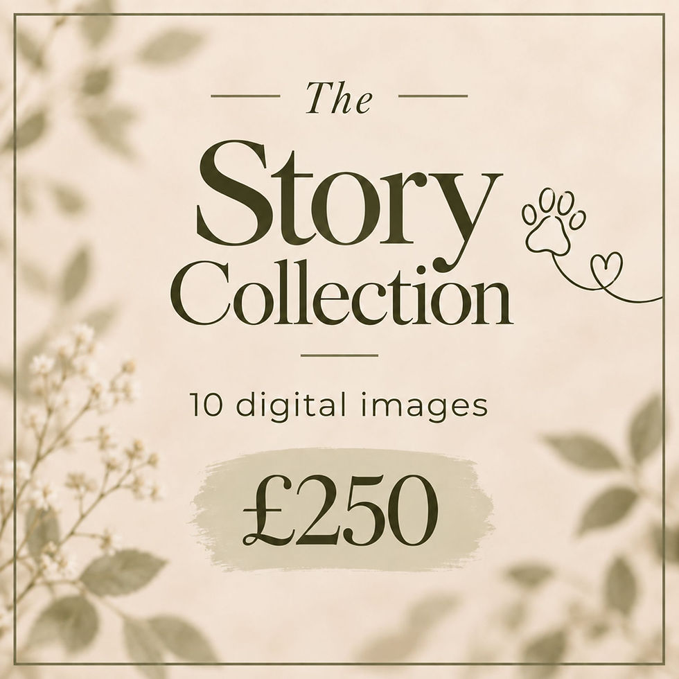 The Story Collection – 10 images.jpg