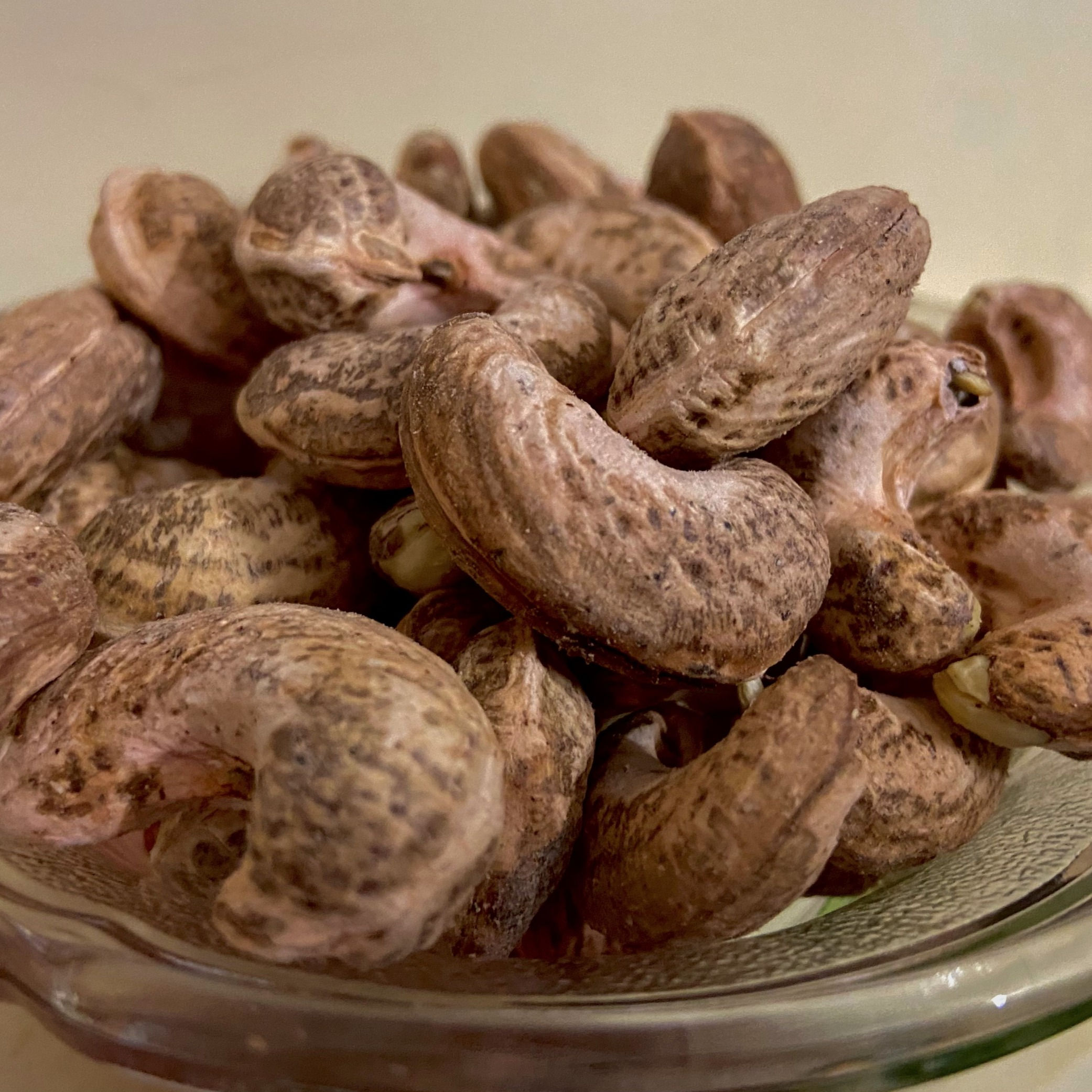 Konkan Cashew with Skin