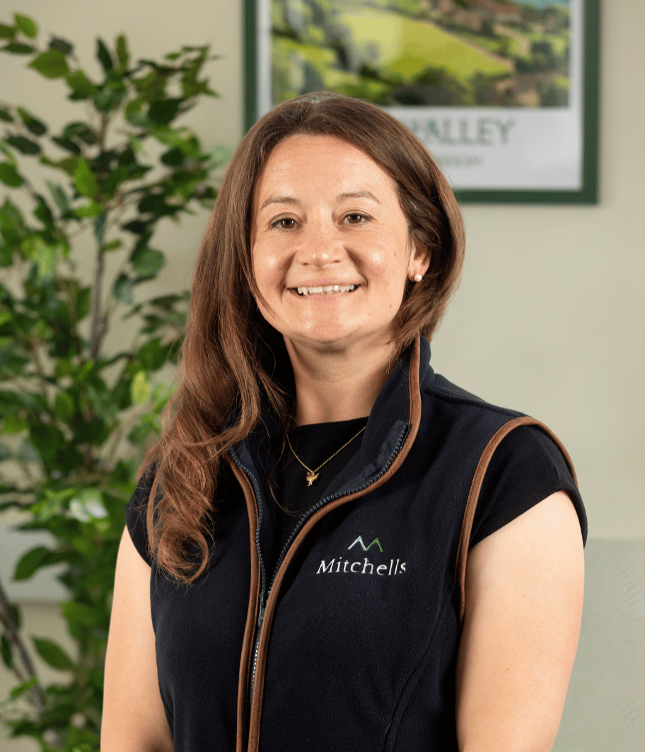 Writer: Rachael Dalton