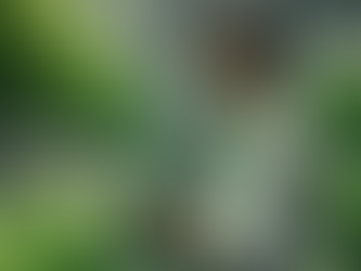 "Navigating HMRC’s R&D Advance Assurance"