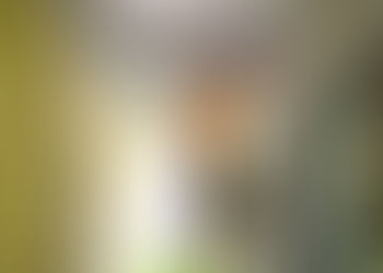 Você sabe quando fazer a reforma elétrica?