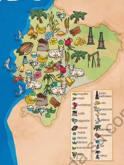                          Los recursos naturales