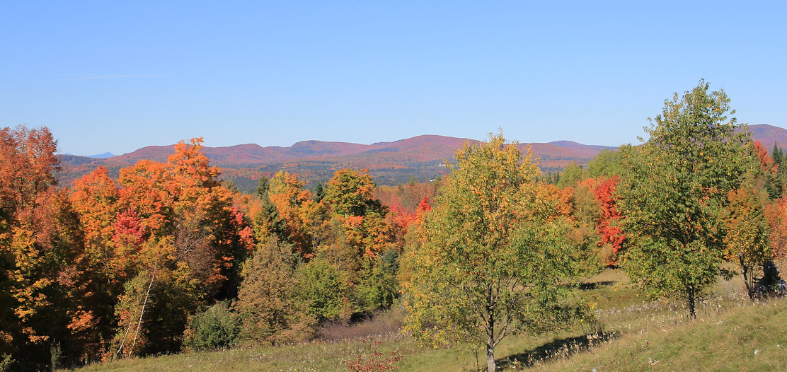 autumn mnts.JPG