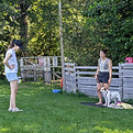 IMG-20260709-WA0016_edited.jpg