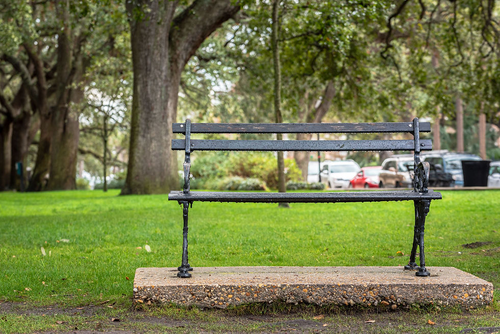 summerville bench park.jpg