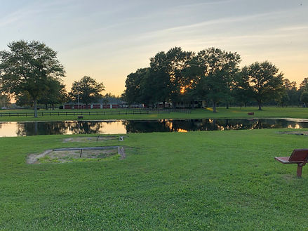 Front Pond.jpeg
