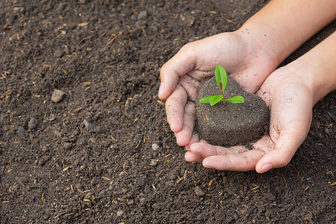 close-up-picture-hand-holding-planting-sapling-plant.jpg
