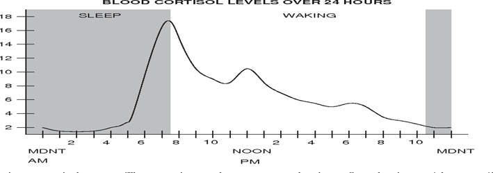 Figure 2 : Production de cortisol au cours de la journée et de la nuit