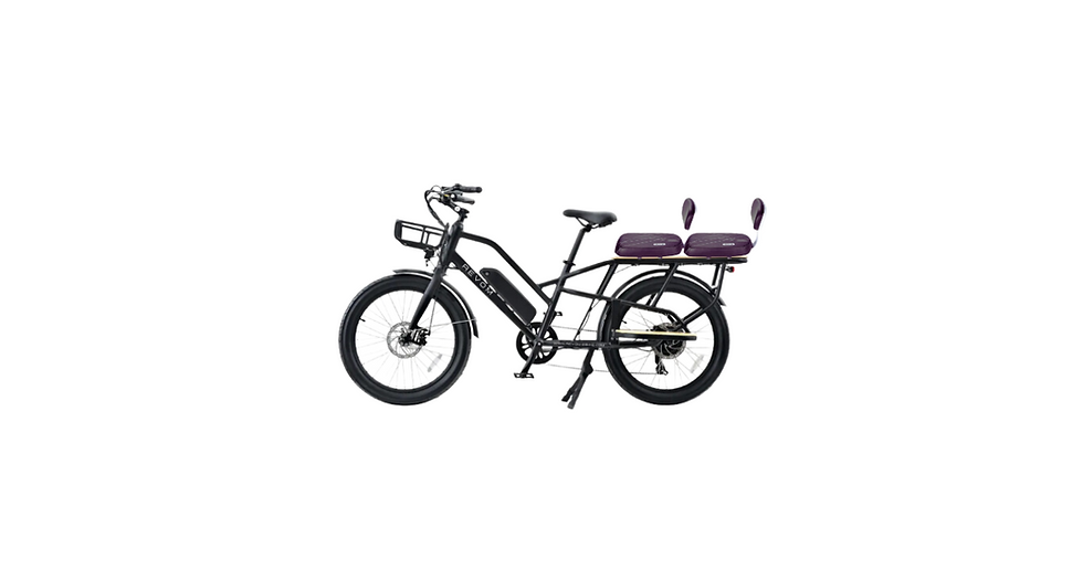 Thumbnail: REVOM MULTI E-BIKE