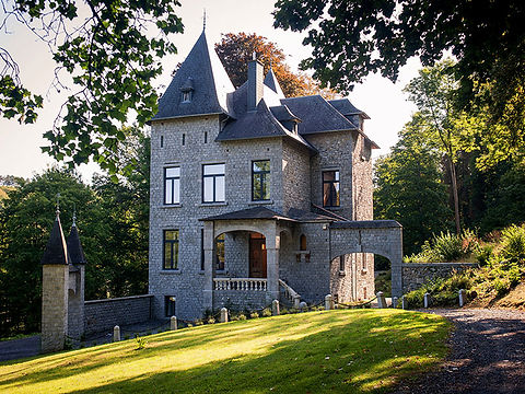 the wise house.jpg