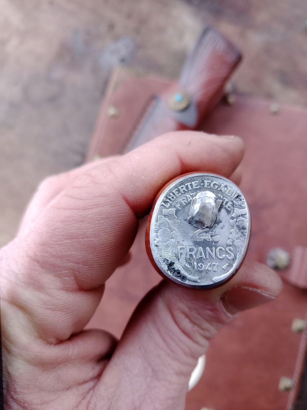 Miniature : Couteau robuste à soie traversante avec etui