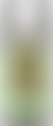 Citronella