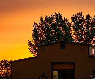 Huston Winery
