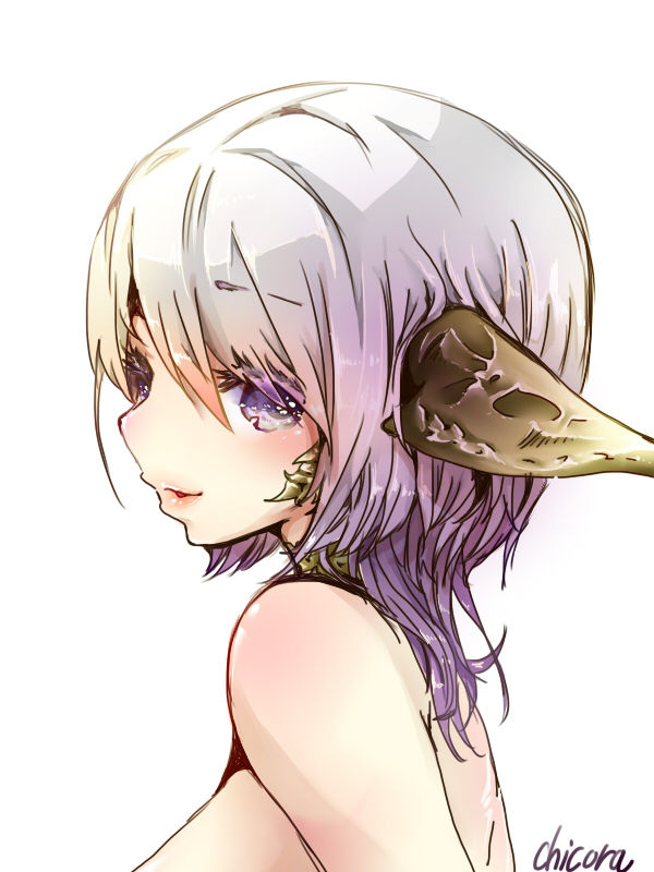 chikoraさんより(@chicora_muso)