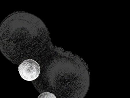 050.png