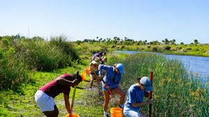 Work on Things You Care About: How Passion and Purpose Drive Professional Success