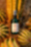 lowrezforweb-132.jpg