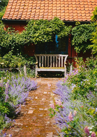 a garden path filled with flowers _edite