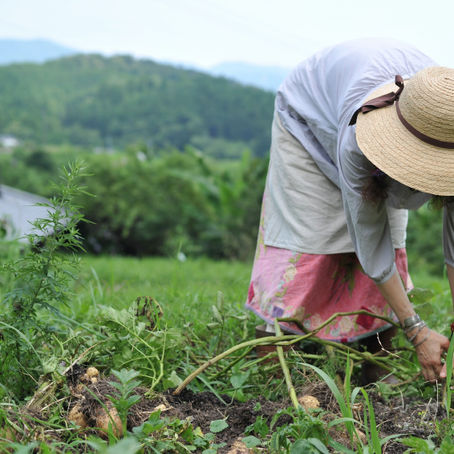 詩のリレー連載　食べることは歌うこと #8（早川ユミ）　