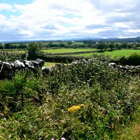 アイルランドを旅して（浅野佳代）